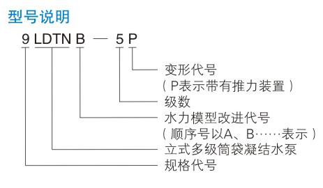 LDTN型凝麻豆伦理视频