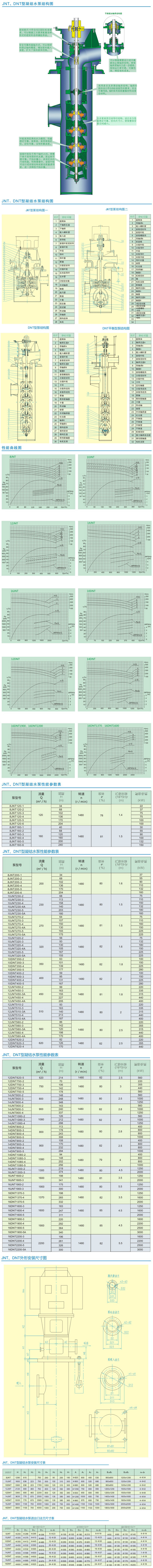 DNT型凝麻豆伦理视频